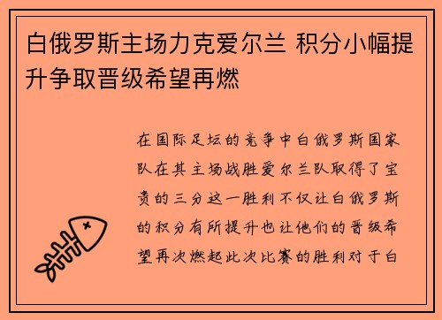 白俄罗斯主场力克爱尔兰 积分小幅提升争取晋级希望再燃