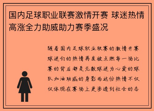 国内足球职业联赛激情开赛 球迷热情高涨全力助威助力赛季盛况